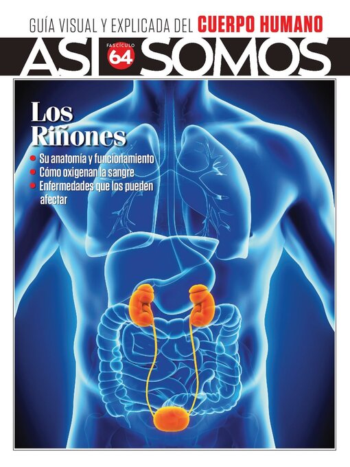 Cover image for Así Somos - El cuerpo humano